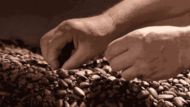 甜食是女人的专利?鲁迅第一个不答应 | 美好清单