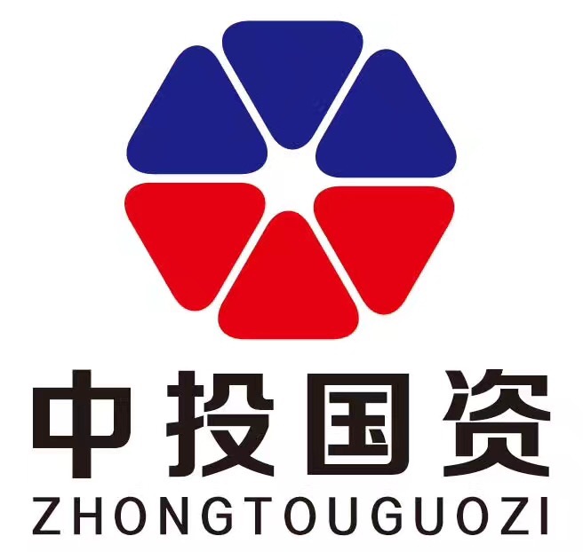 中投国资基金管理(北京)有限公司上海分公司