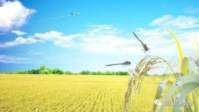 持续收紧的资金面会推升利率回到何位置—华创债券日报2018-4-23
