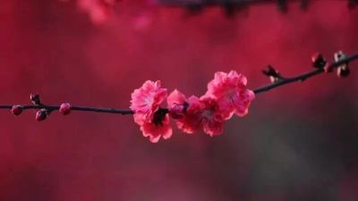 【海通策略】A股到了抗拒恐惧的阶段(荀玉根、李影)