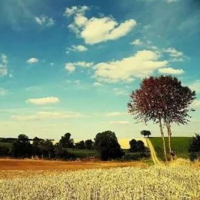 中国私募圈的9大派系,你知道多少?