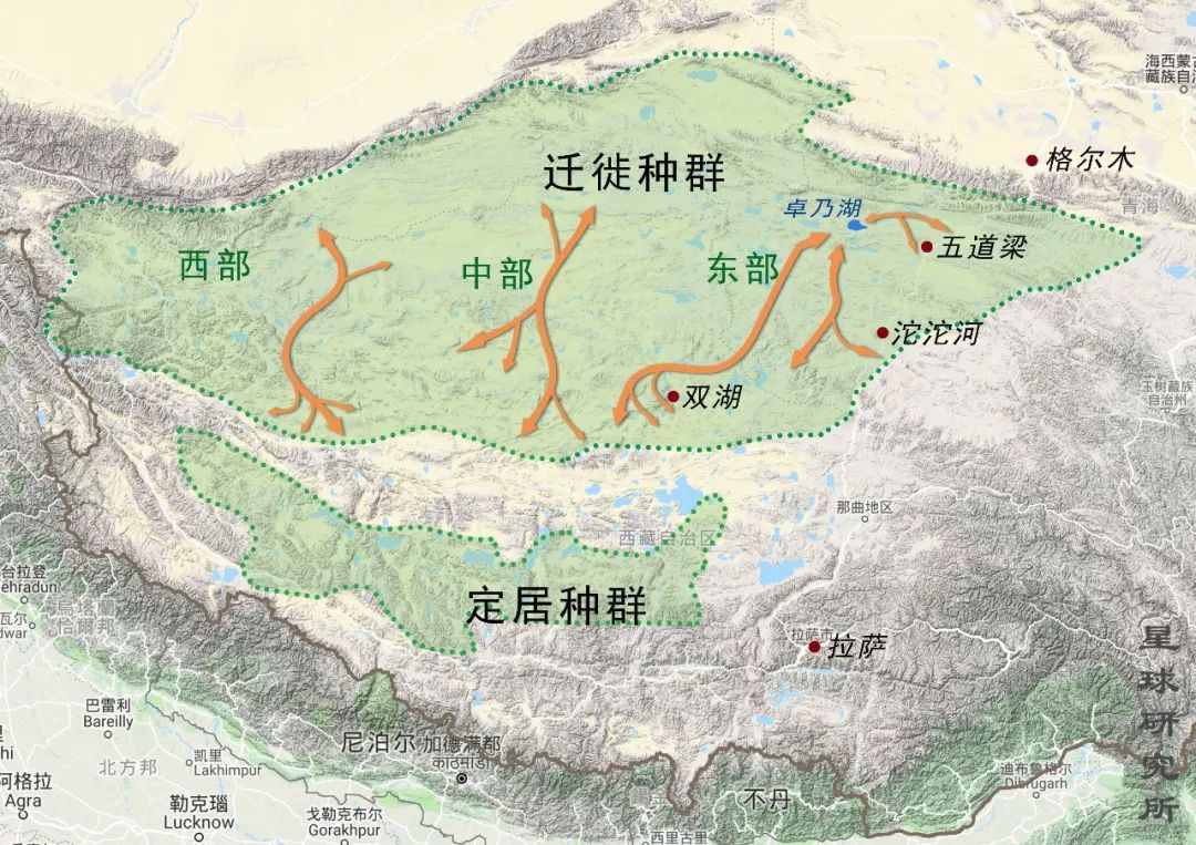 可可西里!中国最伟大的荒野