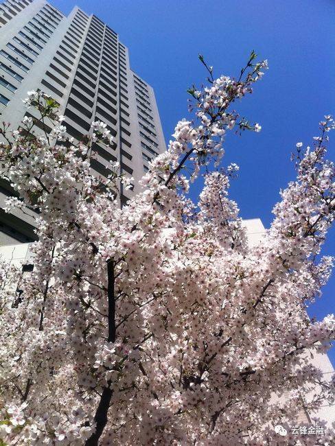 点"房"成金——非传统投资专家安祖高顿