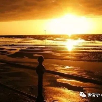 高善文:卖方研究业务向何处去