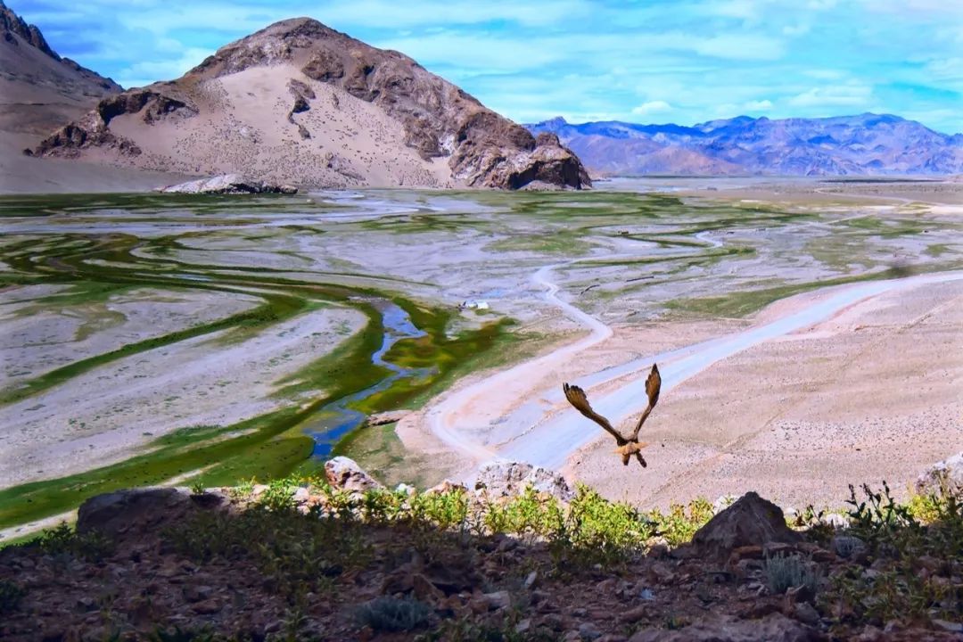 布汉语译名 狮泉河 在流入克什米尔之后改称印度河 它源头海拔5164米