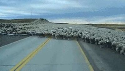 突遭史上最严调控,海南楼市“全剧终”!