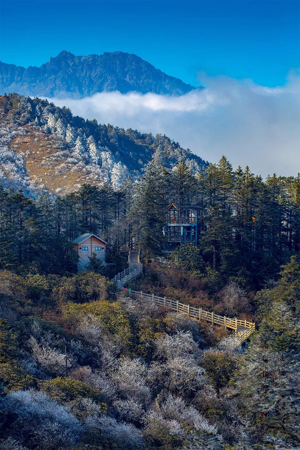 它風景秀麗 既有中國東部常見的青翠大山 又可仰望終年積雪的西部雪峰