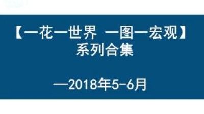 【中信建投 宏观】【一花一世界 一图一宏观】系列合集——2018年5-6月